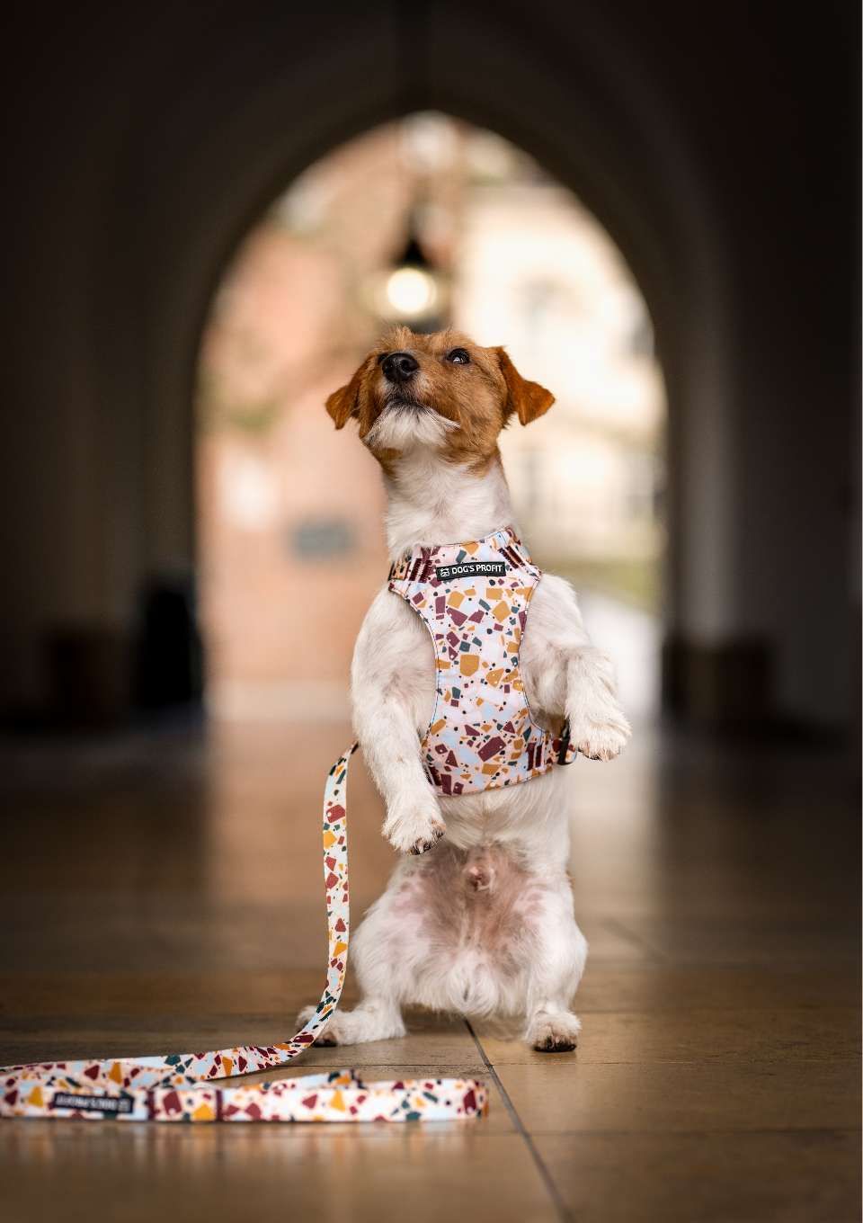 Smycz miejska CANTUCCINO 150cm 20mm