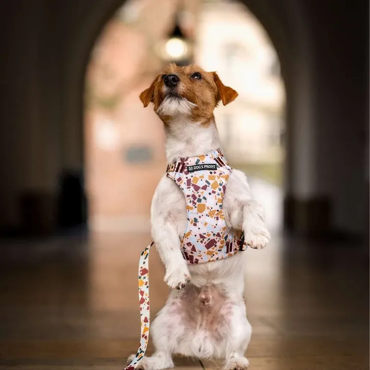 Szelki bezuciskowe PRO-FIT™ CANTUCCINO XS | 20mm