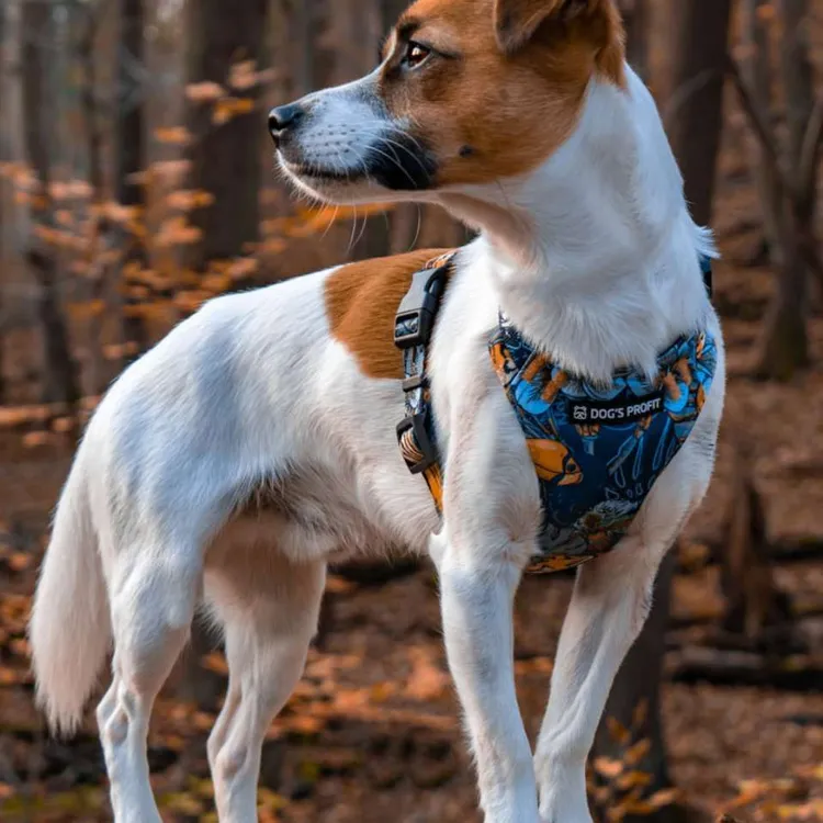 Szelki bezuciskowe PRO-FIT™ EXOTIC XS | 20mm