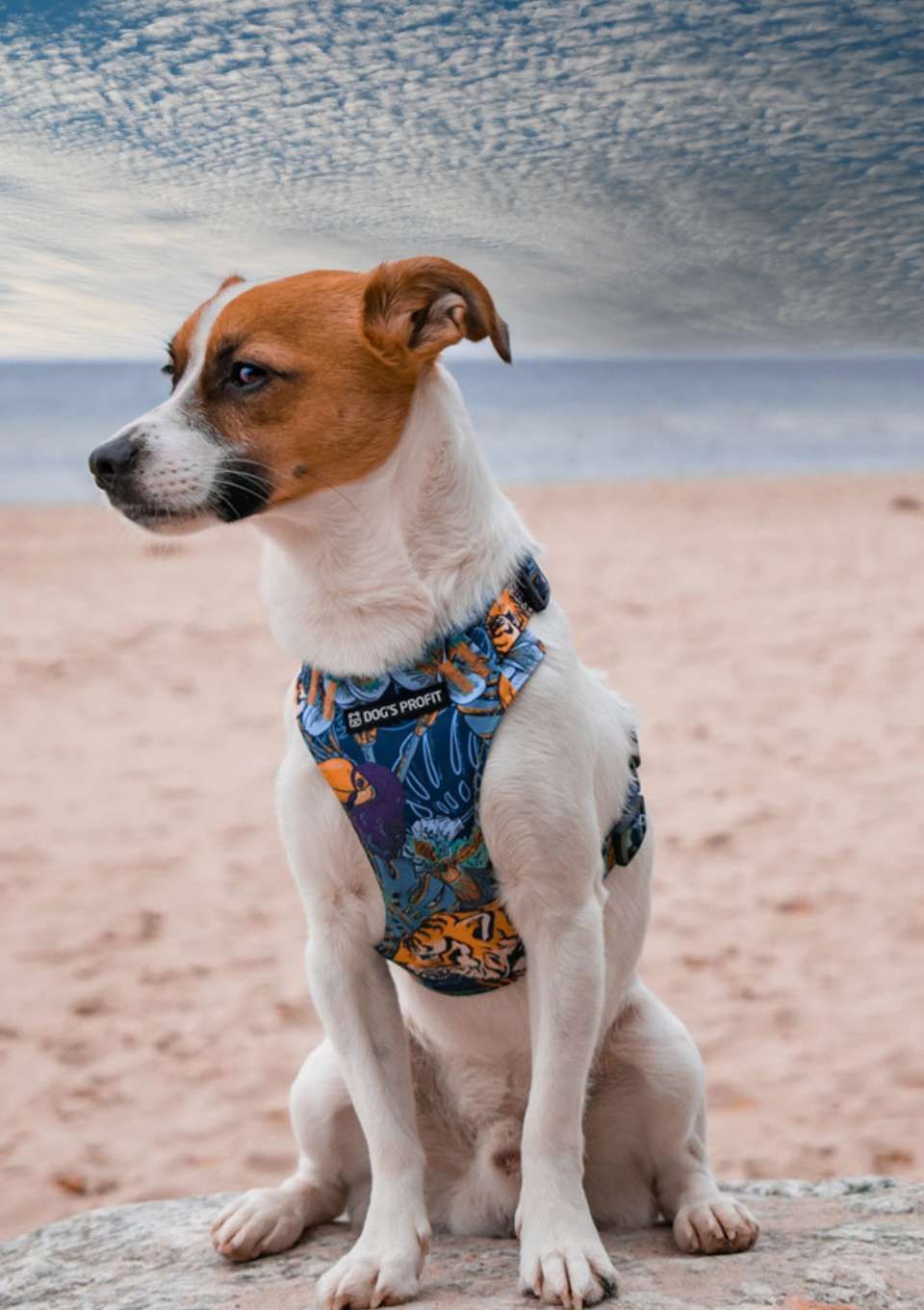 Szelki bezuciskowe PRO-FIT™ EXOTIC XS | 20mm