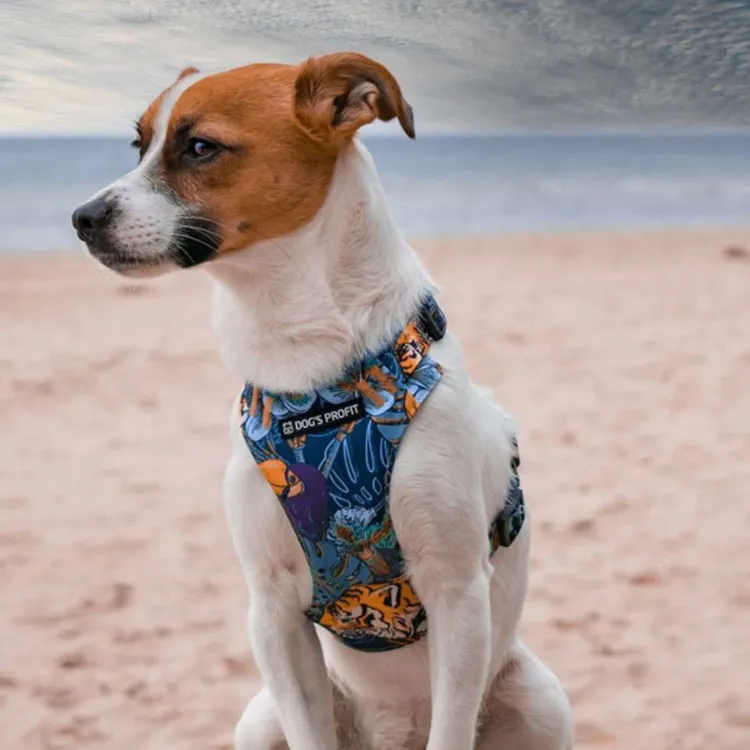 Szelki bezuciskowe PRO-FIT™ EXOTIC XS | 20mm