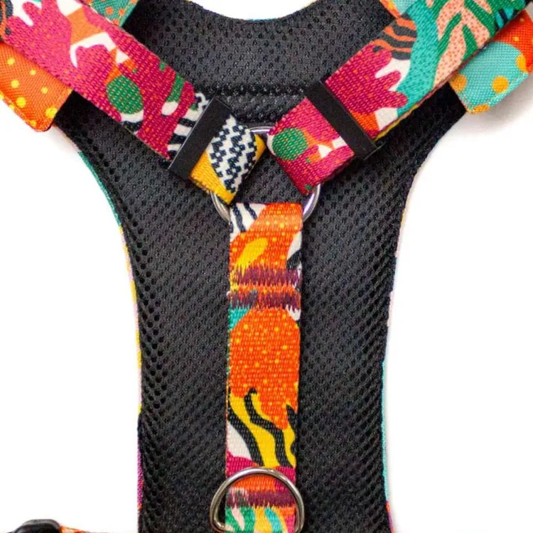 Szelki bezuciskowe PRO-FIT™ MEXICO XS | 20mm