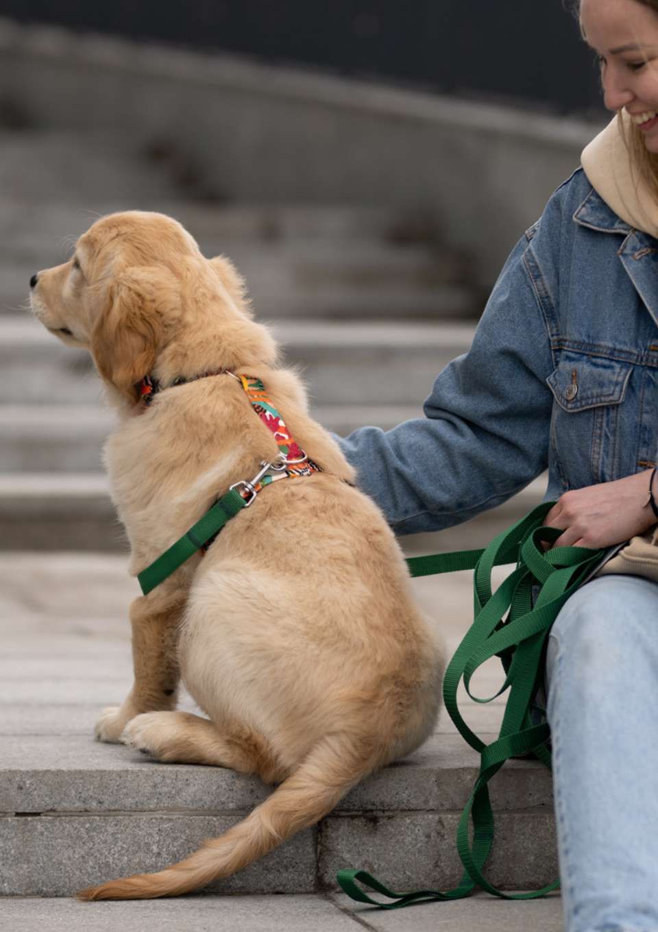 Szelki bezuciskowe PRO-FIT™ MEXICO XS | 20mm