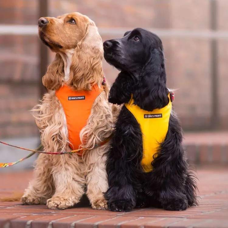 Szelki bezuciskowe PRO-FIT™ AMARILLO S | 20mm