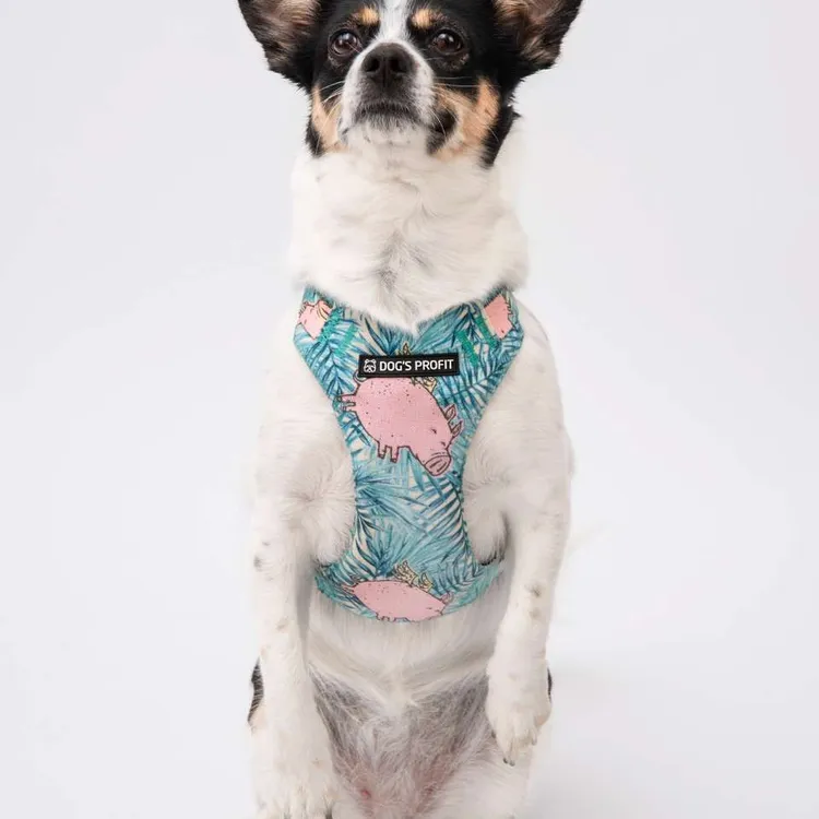 Szelki bezuciskowe PRO-FIT™JUNGLE PIG XS | 20mm