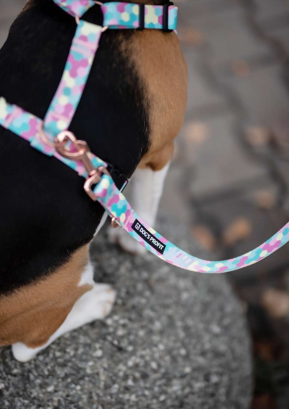 Szelki bezuciskowe PRO-FIT™ MARSHMALLOW XS | 20mm