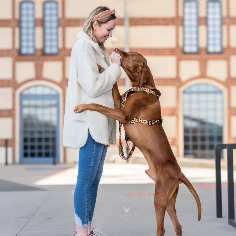 Szelki bezuciskowe PRO-FIT™ WILD XS | 20mm