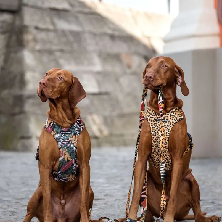 Szelki bezuciskowe PRO-FIT™ PALMS XS | 20mm