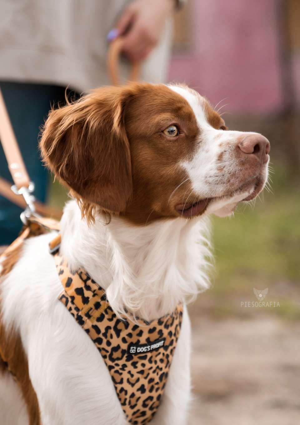 Szelki bezuciskowe PRO-FIT™ WILD XS | 20mm