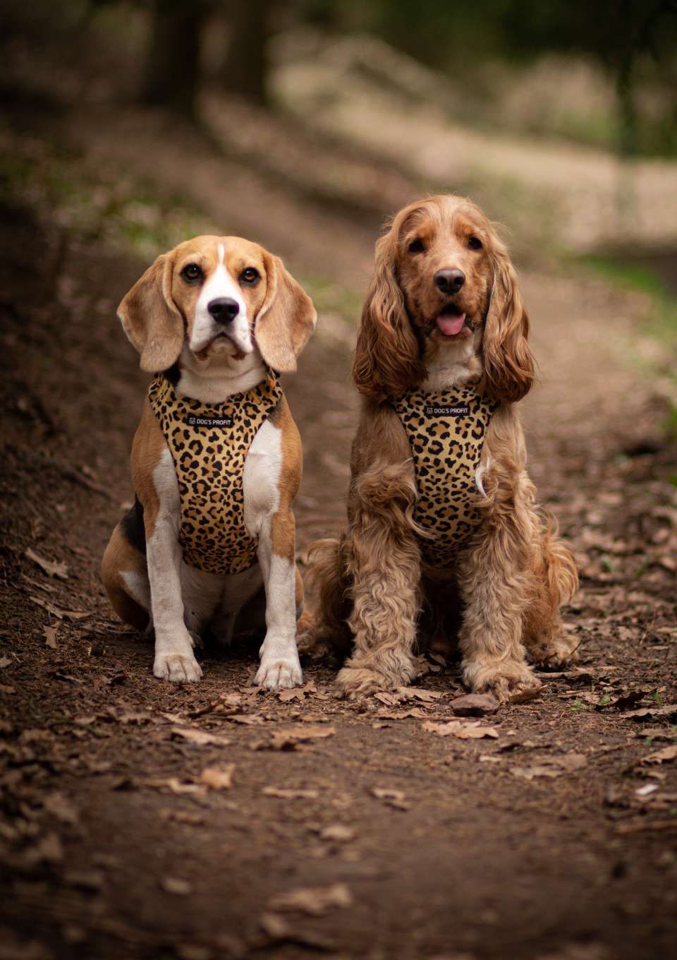 Szelki bezuciskowe PRO-FIT™ WILD XS | 20mm