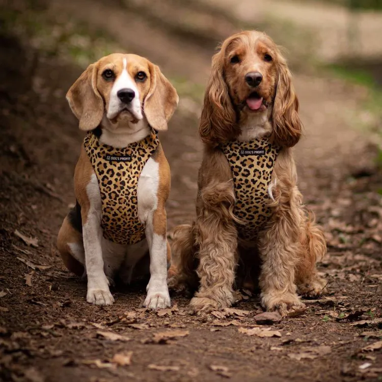 Szelki bezuciskowe PRO-FIT™ WILD XS | 20mm