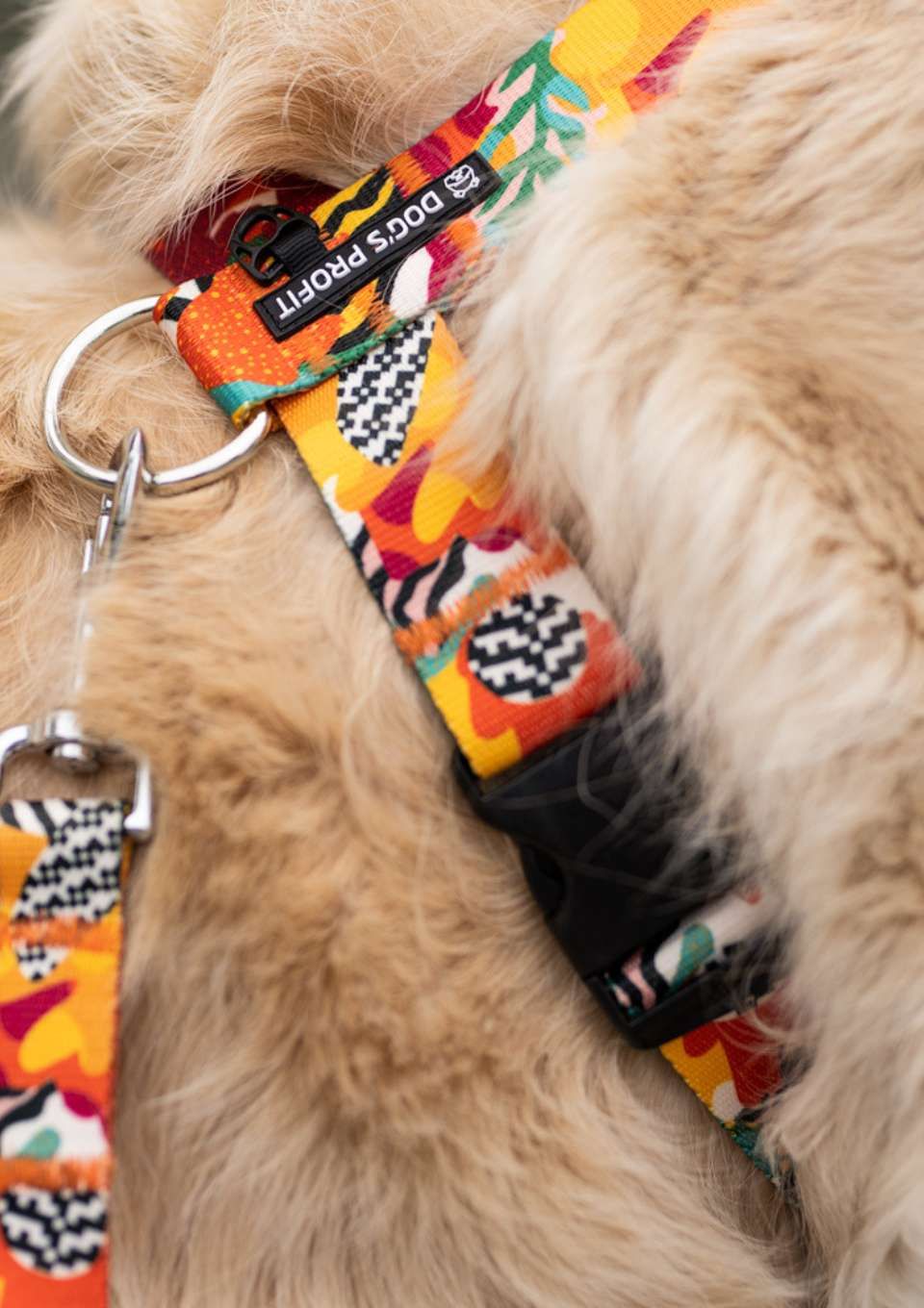 Szelki typu guard MEXICO S | 20mm