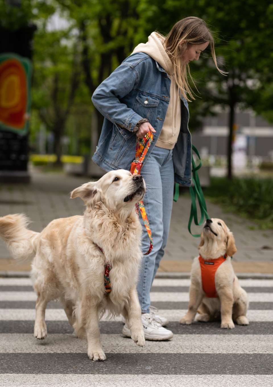 Szelki bezuciskowe PRO-FIT™ AMARILLO S | 20mm