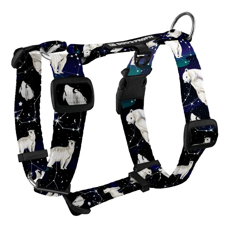 Szelki typu guard EKSPRES POLARNY S|20mm