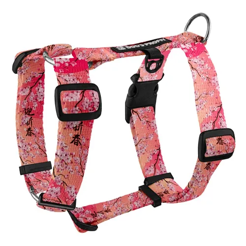 Szelki typu guard Sakura