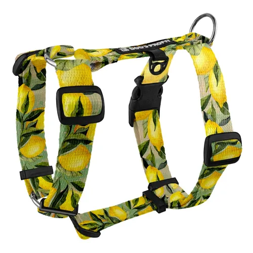 Szelki typu guard SIGNORA LIMONE