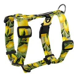 Szelki typu guard SIGNORA LIMONE