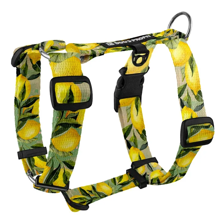 Szelki typu guard SIGNORA LIMONE S|20mm