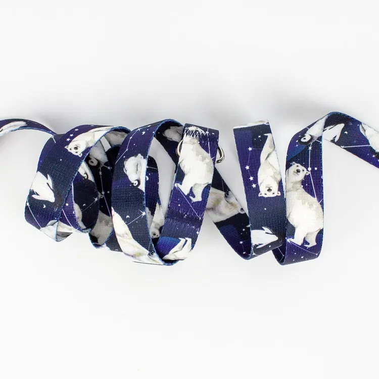 Obroża Ekspres Polarny S|20mm