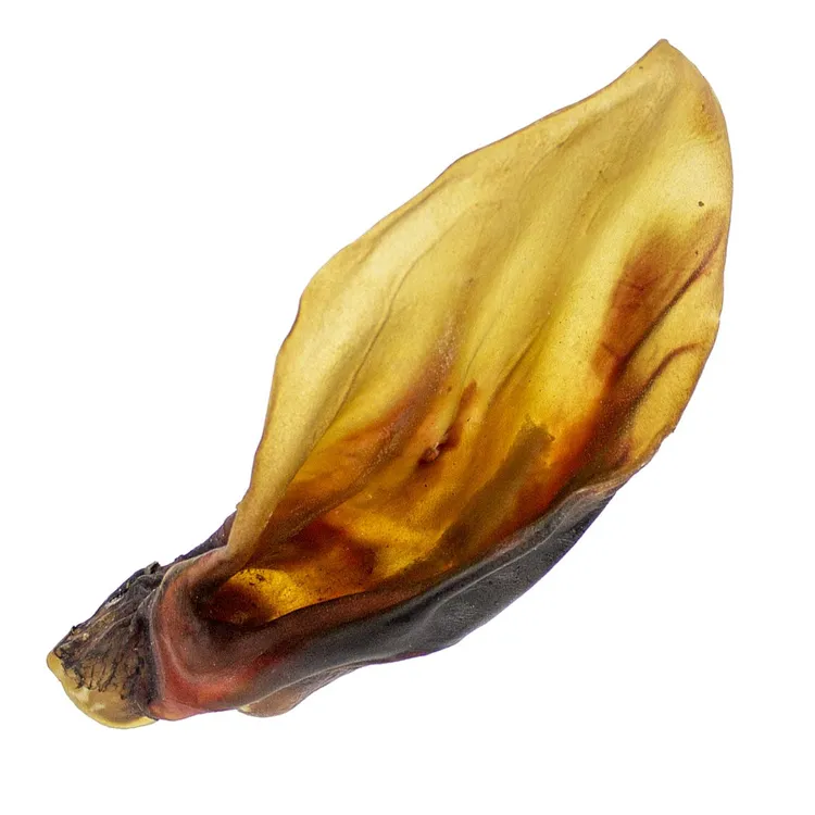 UCHO WOŁOWE suszony gryzak dla psa 1szt.