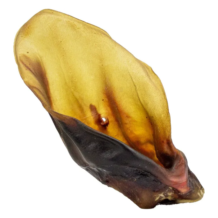 UCHO WOŁOWE suszony gryzak dla psa 1szt.