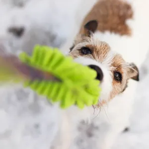 Zabawki dla psa Dog's Profit